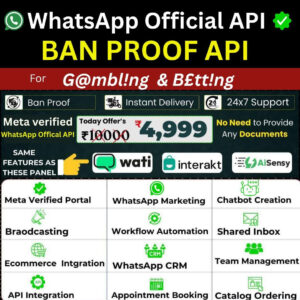 WhatsApp Official API